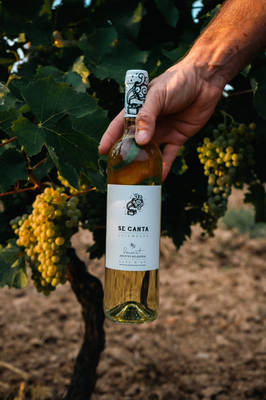 Se Canta - Colombard 2025 - Blanc 75cl